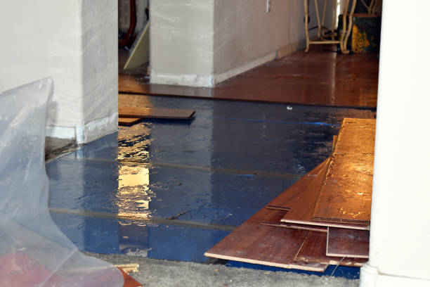 Professional Sewage Cleanup technician working in Wheeler, MI